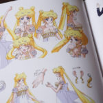 Sailor Moon Crystal Limited Edition DVD / Blu-Ray Combo (Madman)