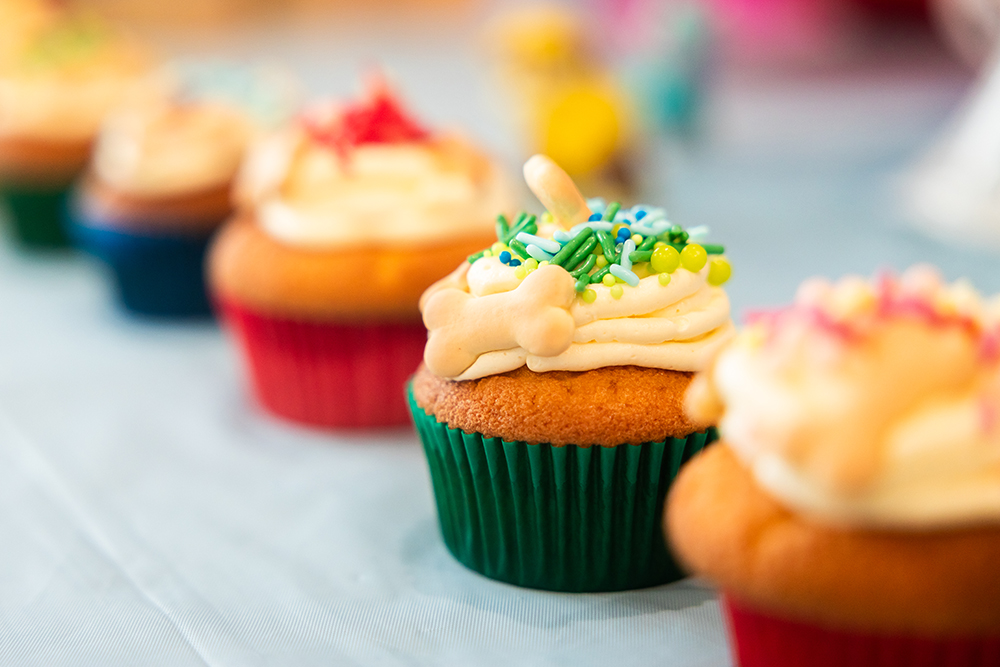 Pup themed cupcakes with doggy bone biscuits